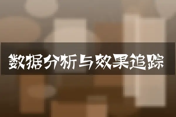 数据分析与效果追踪